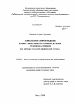 Диссертация по педагогике на тему «Комплексное сопровождение профессионального самоопределения старшеклассников», специальность ВАК РФ 13.00.01 - Общая педагогика, история педагогики и образования