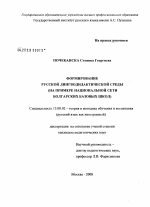 Диссертация по педагогике на тему «Формирование русской лингводидактической среды», специальность ВАК РФ 13.00.02 - Теория и методика обучения и воспитания (по областям и уровням образования)