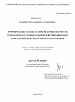 Диссертация по педагогике на тему «Формирование этнокультурной компетентности подростков в условиях взаимодействия школы и учреждений дополнительного образования», специальность ВАК РФ 13.00.05 - Теория, методика и организация социально-культурной деятельности