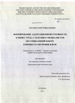 Диссертация по педагогике на тему «Формирование адаптационной готовности к рынку труда у будущих специалистов по социальной работе в процессе обучения в вузе», специальность ВАК РФ 13.00.08 - Теория и методика профессионального образования