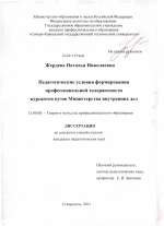 Диссертация по педагогике на тему «Педагогические условия формирования профессиональной толерантности курсантов вузов министерства внутренних дел», специальность ВАК РФ 13.00.08 - Теория и методика профессионального образования