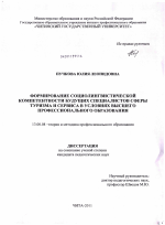 Диссертация по педагогике на тему «Формирование социолингвистической компетентности будущих специалистов сферы туризма и сервиса в условиях высшего профессионального образования», специальность ВАК РФ 13.00.08 - Теория и методика профессионального образования