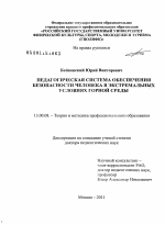 Диссертация по педагогике на тему «Педагогическая система обеспечения безопасности человека в экстремальных условиях горной среды», специальность ВАК РФ 13.00.08 - Теория и методика профессионального образования