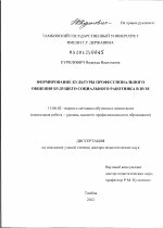 Диссертация по педагогике на тему «Формирование культуры профессионального общения будущего социального работника в вузе», специальность ВАК РФ 13.00.02 - Теория и методика обучения и воспитания (по областям и уровням образования)