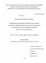 Диссертация по педагогике на тему «Формирование иноязычной профессиональной коммуникативной компетентности обучающихся по экономическому профилю в системе "школа-вуз-работодатель"», специальность ВАК РФ 13.00.08 - Теория и методика профессионального образования