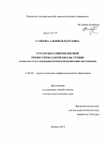 Диссертация по педагогике на тему «Стратегии развития высшей профессиональной школы Турции», специальность ВАК РФ 13.00.08 - Теория и методика профессионального образования