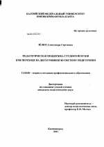 Диссертация по педагогике на тему «Педагогическая поддержка студентов вузов при переходе на двухуровневую систему подготовки», специальность ВАК РФ 13.00.08 - Теория и методика профессионального образования