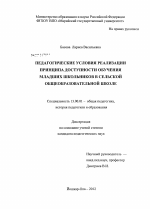 Диссертация по педагогике на тему «Педагогические условия реализации принципа доступности обучения младших школьников в сельской общеобразовательной школе», специальность ВАК РФ 13.00.01 - Общая педагогика, история педагогики и образования