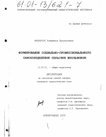 Диссертация по педагогике на тему «Формирование социально-профессионального самоопределения сельских школьников», специальность ВАК РФ 13.00.01 - Общая педагогика, история педагогики и образования