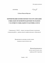 Диссертация по педагогике на тему «Формирование компетентности в организации социально-правовой поддержки молодежи у будущего социального работника в вузе», специальность ВАК РФ 13.00.02 - Теория и методика обучения и воспитания (по областям и уровням образования)