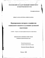 Диссертация по педагогике на тему «Формирование интереса к профессии социального педагога в условиях вузовской подготовки», специальность ВАК РФ 13.00.08 - Теория и методика профессионального образования