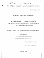 Диссертация по педагогике на тему «Формирование у старшеклассников профессиональной направленности в сфере туристской деятельности», специальность ВАК РФ 13.00.08 - Теория и методика профессионального образования