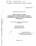 Диссертация по педагогике на тему «Педагогические условия эффективности воспитательного процесса в учреждениях начального профессионального образования», специальность ВАК РФ 13.00.08 - Теория и методика профессионального образования