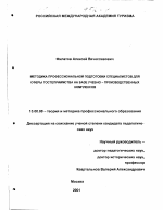 Диссертация по педагогике на тему «Методика профессиональной подготовки специалистов для сферы гостеприимства на базе учебно-производственных комплексов», специальность ВАК РФ 13.00.08 - Теория и методика профессионального образования