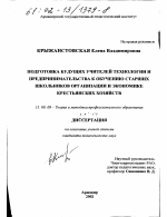 Диссертация по педагогике на тему «Подготовка будущих учителей технологии и предпринимательства к обучению старших школьников организации и экономике крестьянских хозяйств», специальность ВАК РФ 13.00.08 - Теория и методика профессионального образования