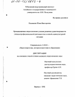 Диссертация по педагогике на тему «Организационно-педагогические условия развития удовлетворенности учителя профессиональной деятельностью в новой социокультурной ситуации», специальность ВАК РФ 13.00.01 - Общая педагогика, история педагогики и образования