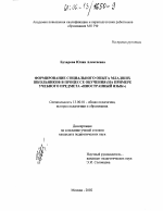 Диссертация по педагогике на тему «Формирование социального опыта младших школьников в процессе обучения», специальность ВАК РФ 13.00.01 - Общая педагогика, история педагогики и образования