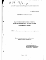 Диссертация по педагогике на тему «Педагогические условия развития видеоэкологических представлений старшеклассников», специальность ВАК РФ 13.00.01 - Общая педагогика, история педагогики и образования