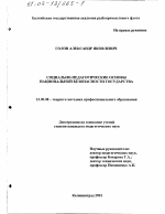 Диссертация по педагогике на тему «Социально-педагогические основы национальной безопасности государства», специальность ВАК РФ 13.00.08 - Теория и методика профессионального образования