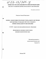 Диссертация по педагогике на тему «Оценка эффективности профессионального обучения безработных граждан в системе среднего профессионального образования», специальность ВАК РФ 13.00.08 - Теория и методика профессионального образования