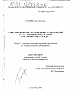 Диссертация по педагогике на тему «Адаптационное и коррекционное планирование естественнонаучных курсов в техническом колледже», специальность ВАК РФ 13.00.02 - Теория и методика обучения и воспитания (по областям и уровням образования)