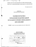 Диссертация по педагогике на тему «Теория и практика управления модернизацией начального профессионального образования», специальность ВАК РФ 13.00.08 - Теория и методика профессионального образования