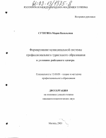 Диссертация по педагогике на тему «Формирование муниципальной системы профессионального туристского образования в условиях районного центра», специальность ВАК РФ 13.00.08 - Теория и методика профессионального образования