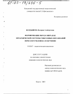 Диссертация по психологии на тему «Формирование образа мира как иерархической системы смысловых образований взрослого человека в обучении», специальность ВАК РФ 19.00.07 - Педагогическая психология