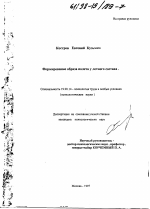 Диссертация по психологии на тему «Формирование образа полета у летного состава», специальность ВАК РФ 19.00.14 - Психология труда в особых условиях