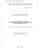Диссертация по педагогике на тему «Синергетическое управление непрерывным повышением квалификации педагогических кадров», специальность ВАК РФ 13.00.08 - Теория и методика профессионального образования