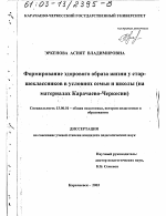 Диссертация по педагогике на тему «Формирование здорового образа жизни у старшеклассников в условиях семьи и школы», специальность ВАК РФ 13.00.01 - Общая педагогика, история педагогики и образования