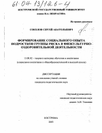 Диссертация по педагогике на тему «Формирование социального опыта подростков группы риска в физкультурно-оздоровительной деятельности», специальность ВАК РФ 13.00.02 - Теория и методика обучения и воспитания (по областям и уровням образования)