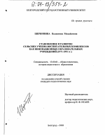 Диссертация по педагогике на тему «Становление и развитие сельских учебно-воспитательных комплексов как инновационных образовательных учреждений», специальность ВАК РФ 13.00.01 - Общая педагогика, история педагогики и образования