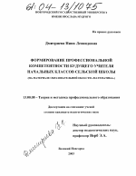 Диссертация по педагогике на тему «Формирование профессиональной компетентности будущего учителя начальных классов сельской школы», специальность ВАК РФ 13.00.08 - Теория и методика профессионального образования